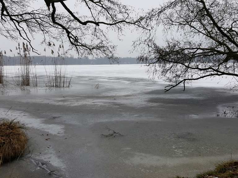 Krossinsee Wanderungen und Rundwege komoot