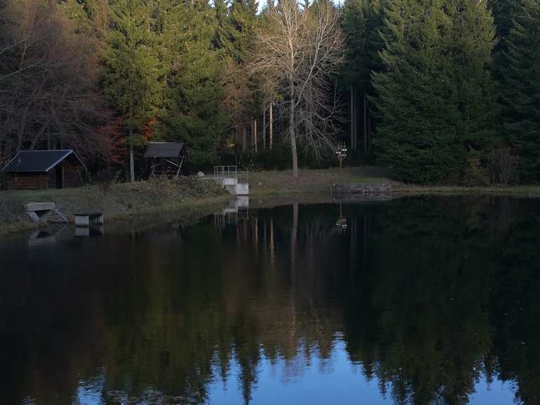 Schwarzer Teich Wanderungen und Rundwege komoot