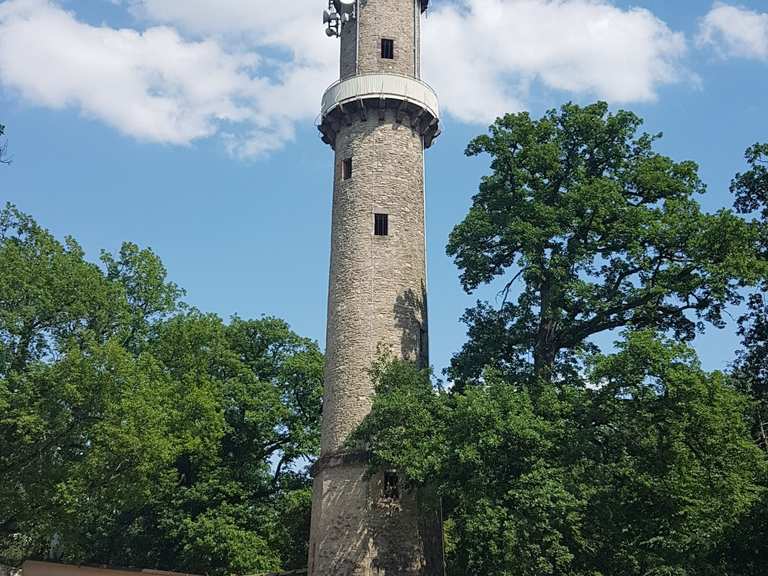 Buchberggrill: Wanderungen und Rundwege | komoot