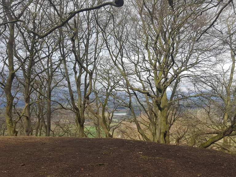 The Halfway House (Wrekin Trail) Routes for Walking and Hiking Komoot