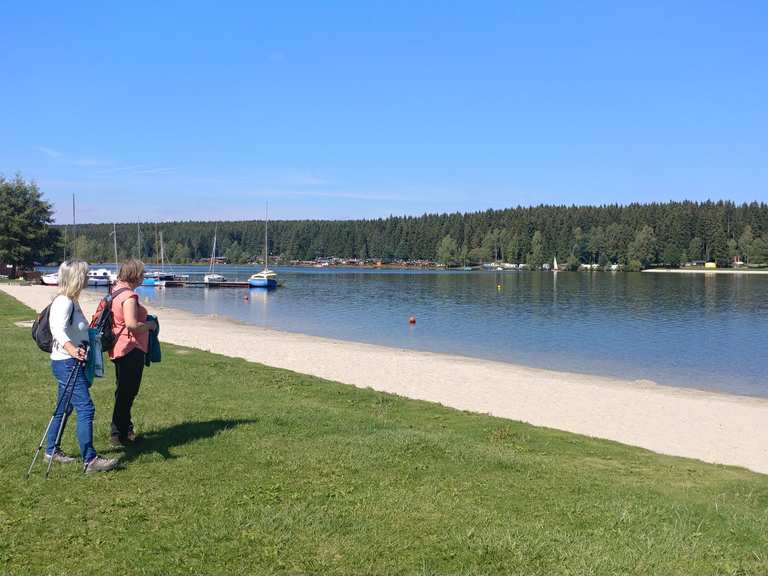 Greifenbachstauweiher Wanderungen und Rundwege komoot