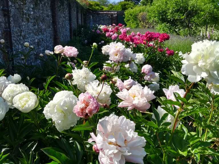 Greys Court – Hikes & How to Get There | Komoot