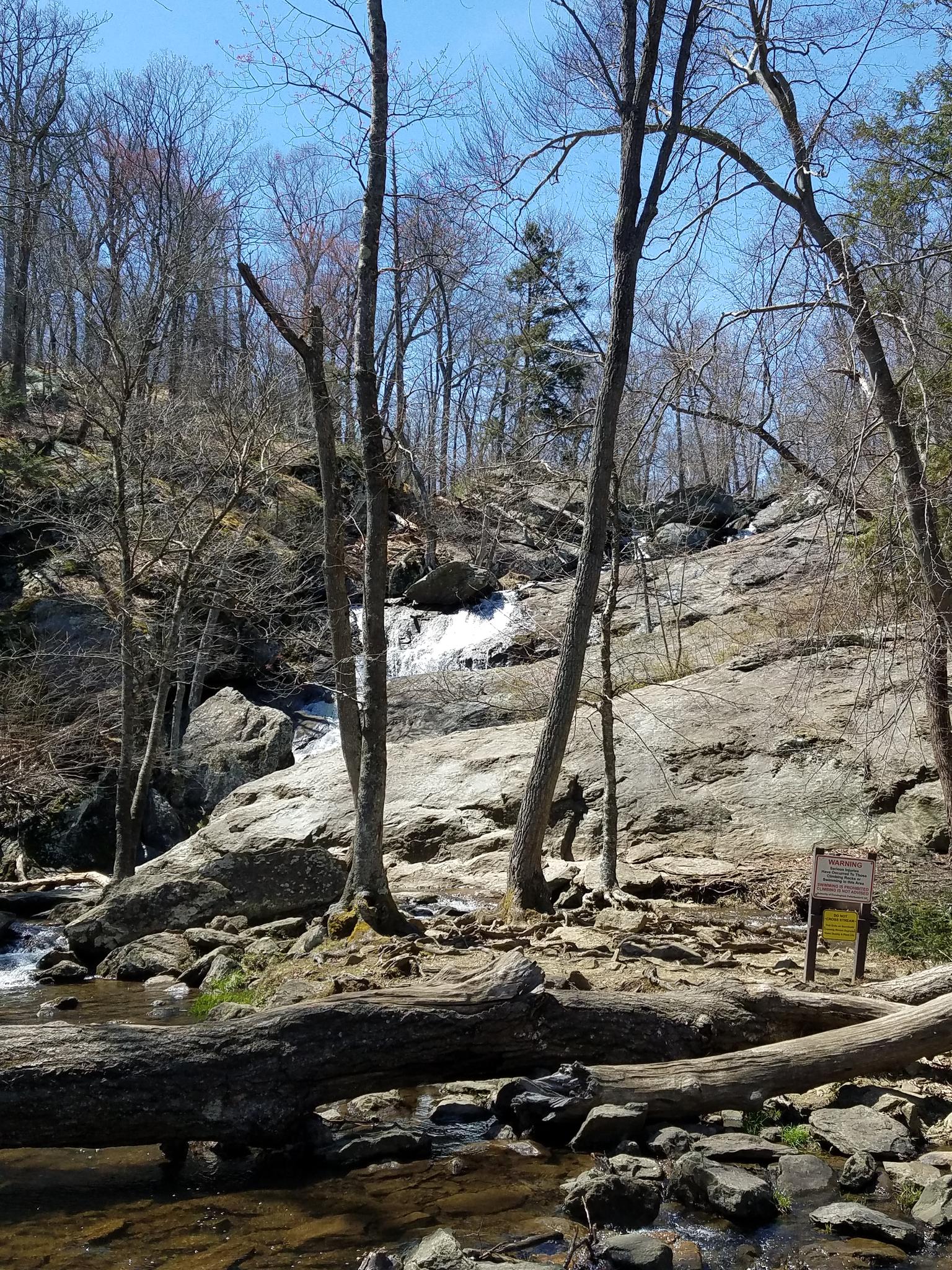 Waterfall cascades over rocks in a forest with bare trees and a stream.