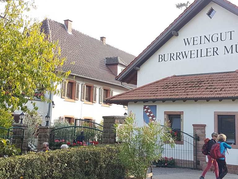 Burrweiler Mühle Wanderungen und Rundwege komoot