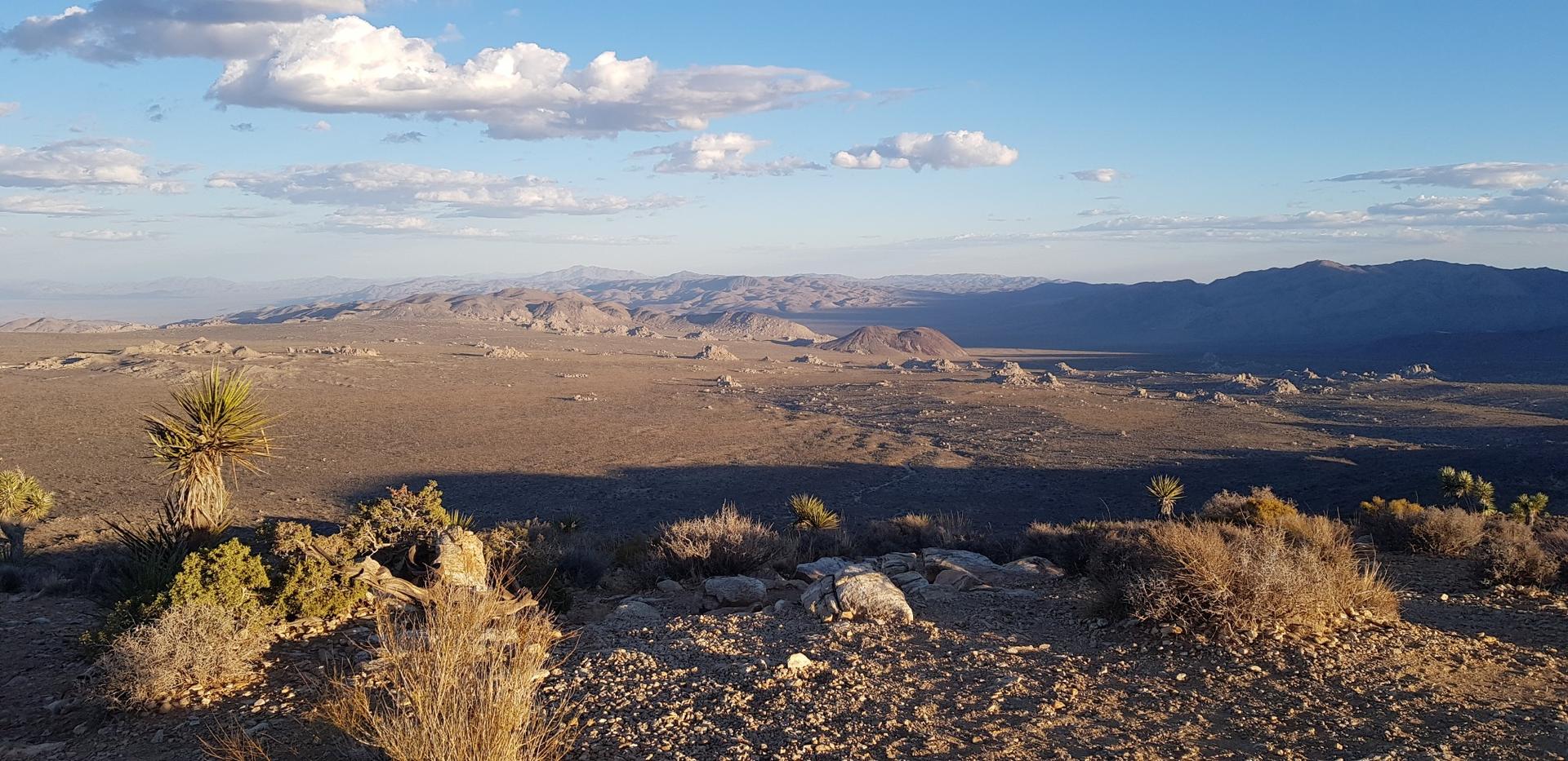 Expansive desert vista with scattered plants, distant mountains, and golden hour lighting.