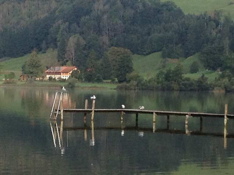 Großer Alpsee bei Immenstadt - Immenstadt im Allgäu, Oberallgäu