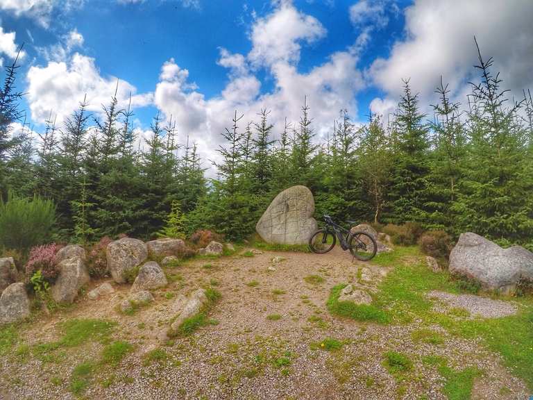 7Stanes - Dalbeattie - Hardrock Trail (RED) | Mountainbike-Tour | Komoot