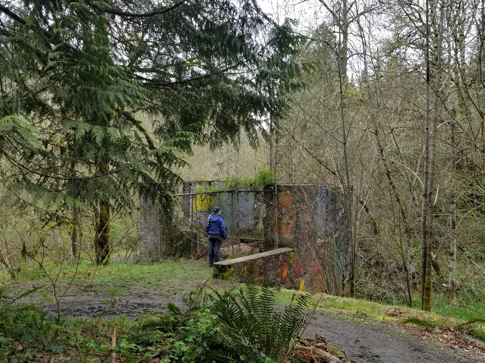 A person stands by a graffiti-covered concrete structure in a wooded area.