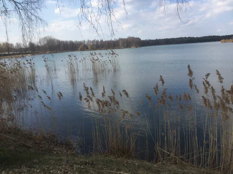 Kiebitzer See Falkenberg Routes for Walking and Hiking Komoot