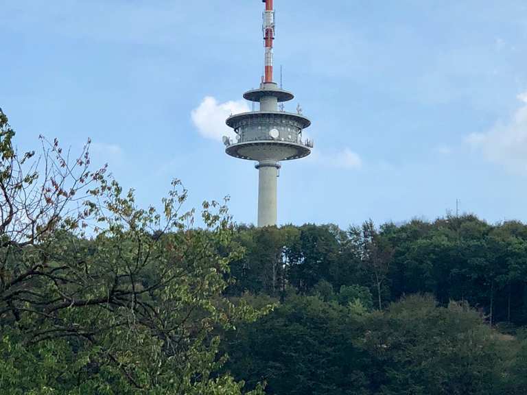 Köterberg‑Gipfel und Sendeturm – Wander- & Radrouten | Komoot