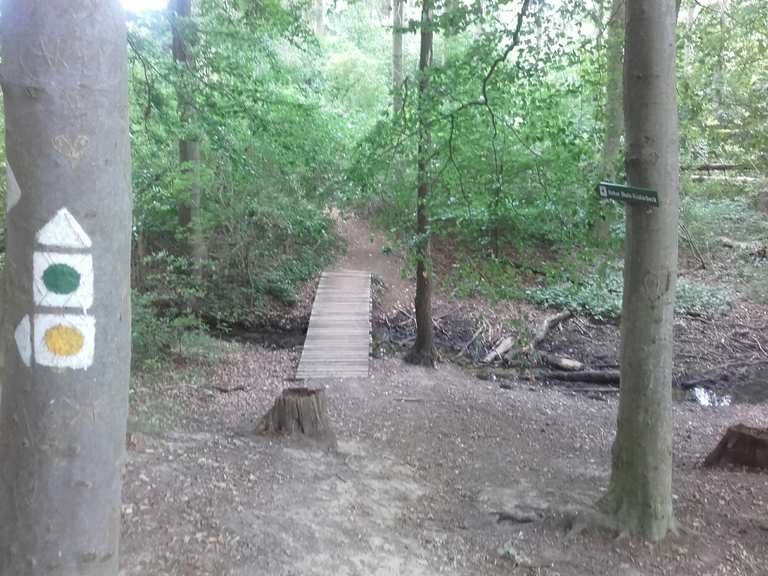 Ginsterpfad Am Kösterbecker See Runde von Kösterbeck Wanderung Komoot