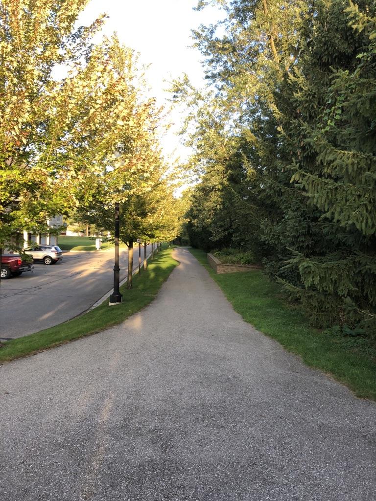 A paved path runs alongside a road with sunlit trees and parked cars.