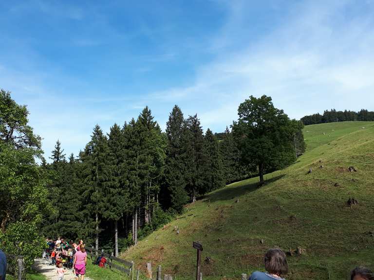 Hefteralm: Wanderungen und Rundwege | komoot