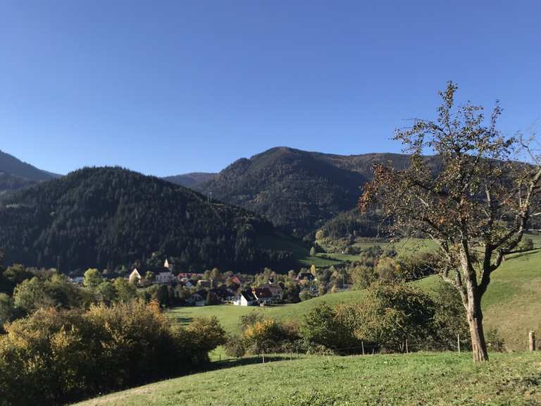 Simonswald und Untersimonswald: Wanderungen und Rundwege | komoot