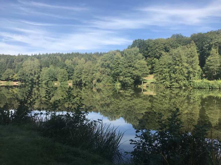 Glashütter Weiher MountainbikeTouren und Trails komoot