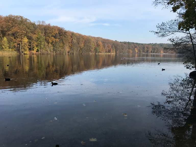 Schlachtensee Routes for Walking and Hiking | Komoot