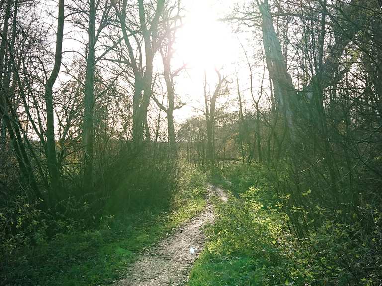 Drägerweg Mountain Bike Trails & Tracks | Komoot