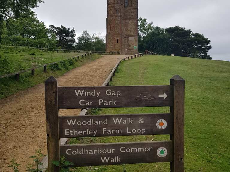 Leith Hill Routes for Walking and Hiking Komoot