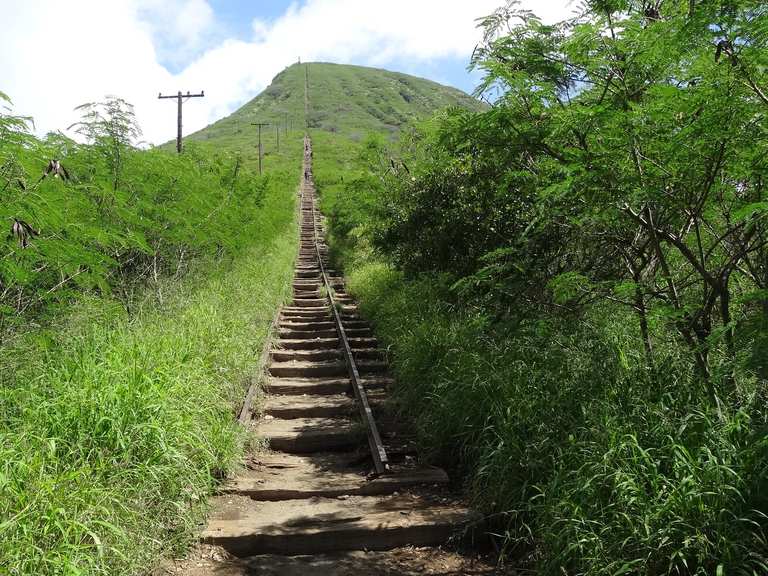 Koko Crater Railway Trail — Oʻahu | wandeling | Komoot