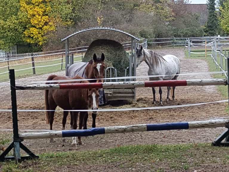 Biergarten Rennhofen – Sägewerk und Mühle Runde von Kotzenaurach