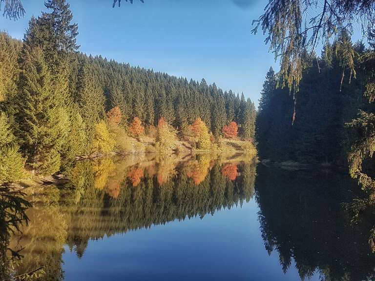 Grumbacher Teich Schutzhütte (HWN 113) Wanderungen und Rundwege komoot