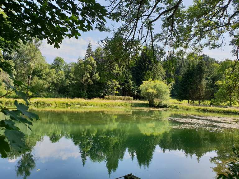 3 Teiche Wanderungen und Rundwege komoot