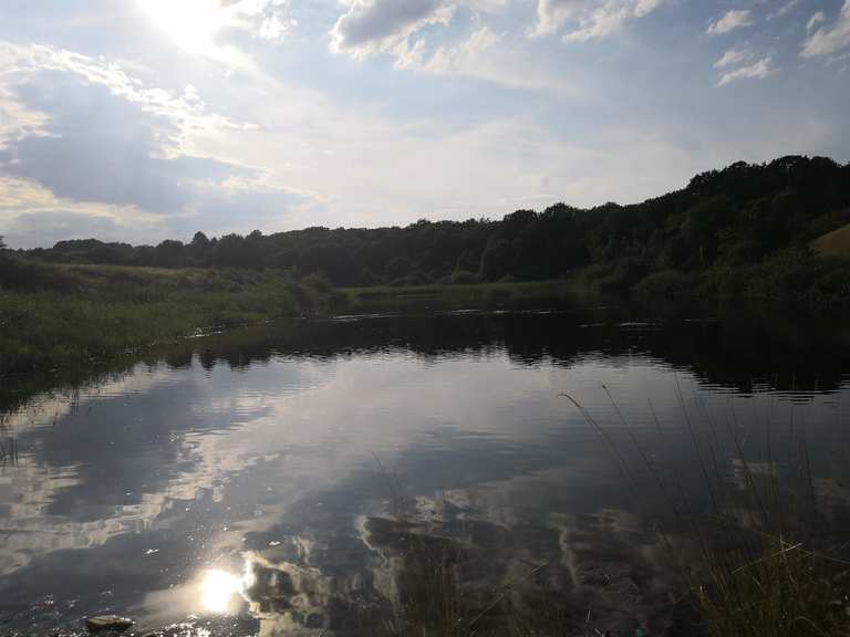 Giesener Teiche MountainbikeTouren und Trails komoot