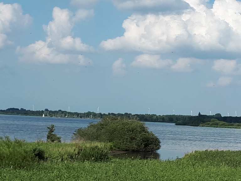 Dümmer See, Aussichtsturm Südufer - Hüde, Diepholz | Radtouren-Tipps & Fotos | Komoot