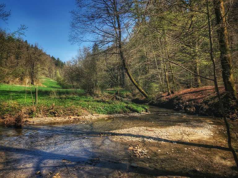 Am Gäbelbach Gäbelbach an der Rossmatte Runde von Bern Laufrunde