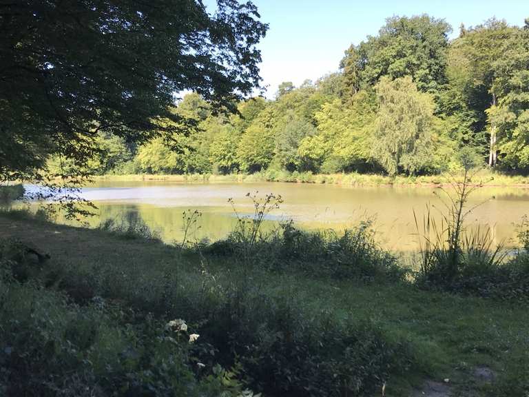 Drei Teiche (Mittlerer Teich) Itinéraires de rando et marche Komoot