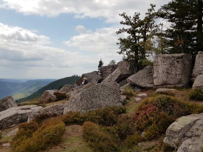 Rocher de Mutzig - Itinéraires de rando et marche | Komoot