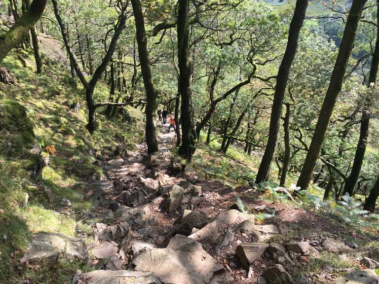 Oak Wood Descent - Routes for Walking and Hiking | Komoot