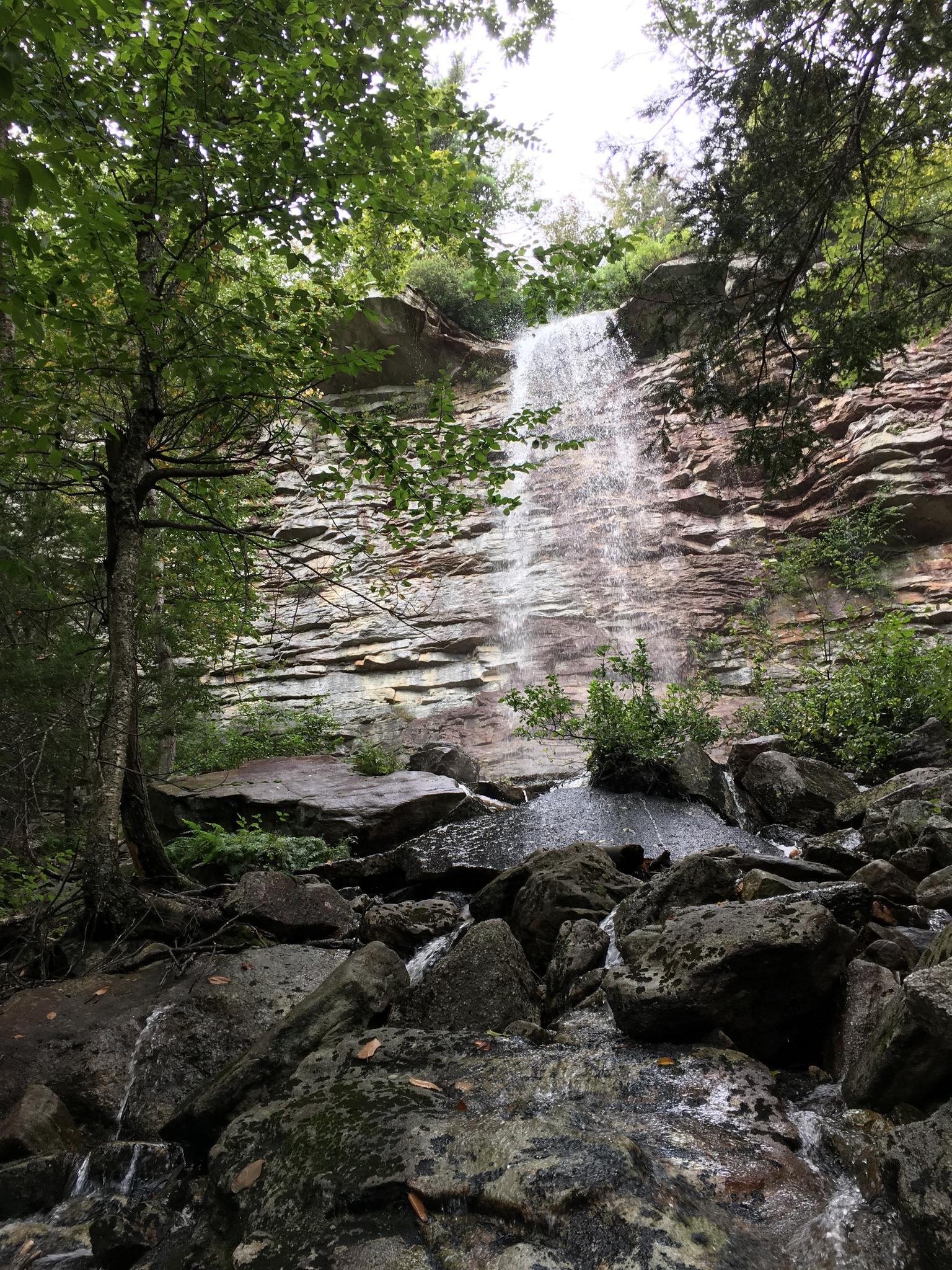 Tall waterfall flowing over a rocky cliff into a stream, surrounded by green trees.