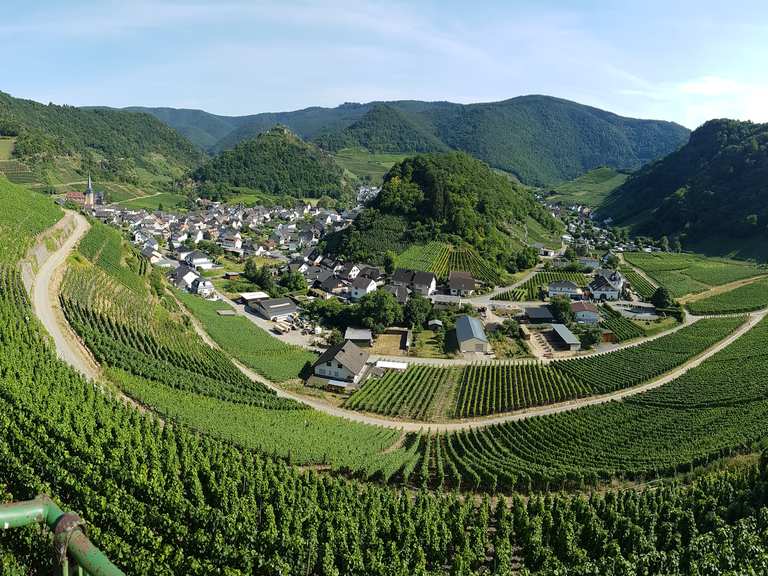 Blick auf Mayschoß: Wanderungen und Rundwege | komoot