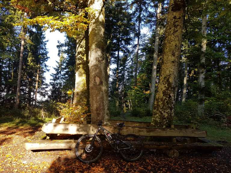 Neuer Albtraufweg - Single Trail Mountain Bike Trails & Tracks | Komoot