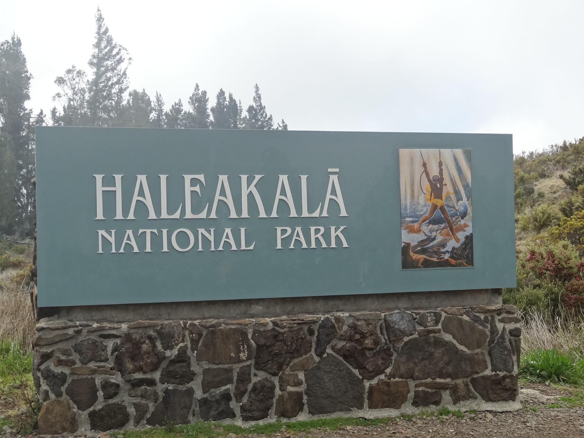 Large teal sign on a stone base with an illustration, surrounded by trees.