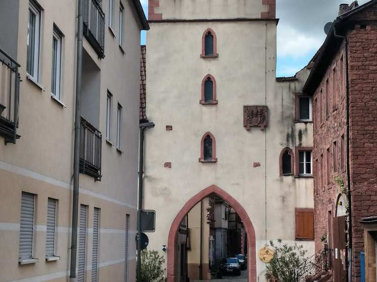 Klingenberg am Main Radtouren und Radwege komoot