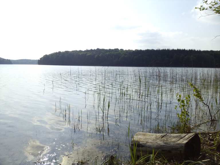 Peetschsee Wanderungen und Rundwege komoot