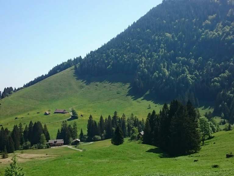 Alpe Gschwenderberg Wanderungen und Rundwege komoot