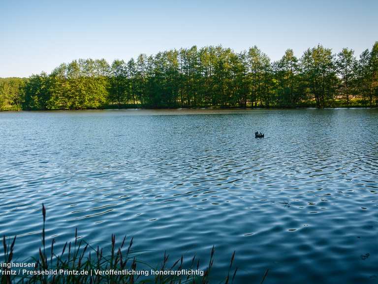 Leveringhäuser Vogelteich / NSG Leveringhäuser Teich (Waltrop