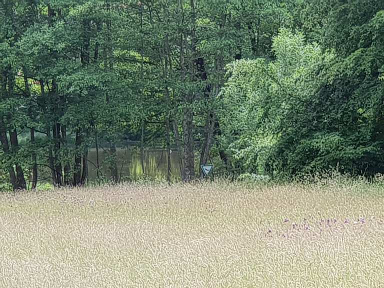 Weg zu den sieben Brünnen - Bank mit Ausblick Runde von ...