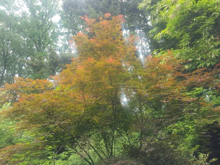 Botanischer Garten Loismann, Ibbenbüren - Ibbenbüren ...