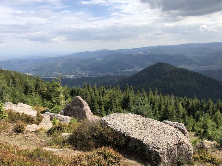 Rocher de Mutzig - Itinéraires de rando et marche | Komoot