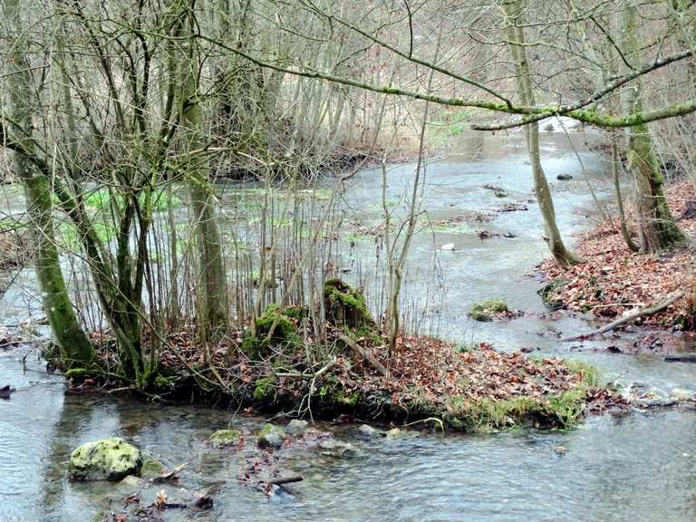 Kocherursprung (Schwarzer Kocher) Radtouren und Radwege komoot