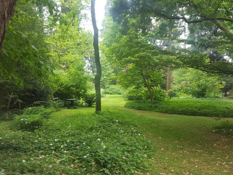 Botanischer Garten Loismann, Ibbenbüren Ibbenbüren