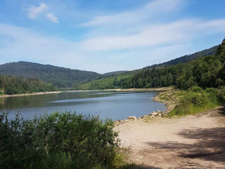 Blick auf die Schwarzenbachtalsperre Wanderungen und Rundwege komoot
