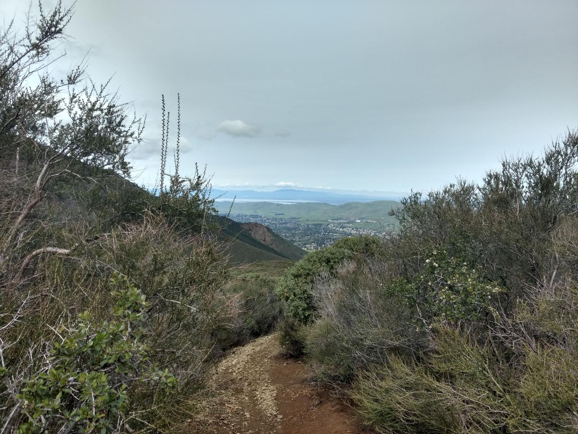 A narrow dirt path through dense brush overlooks a distant valley.