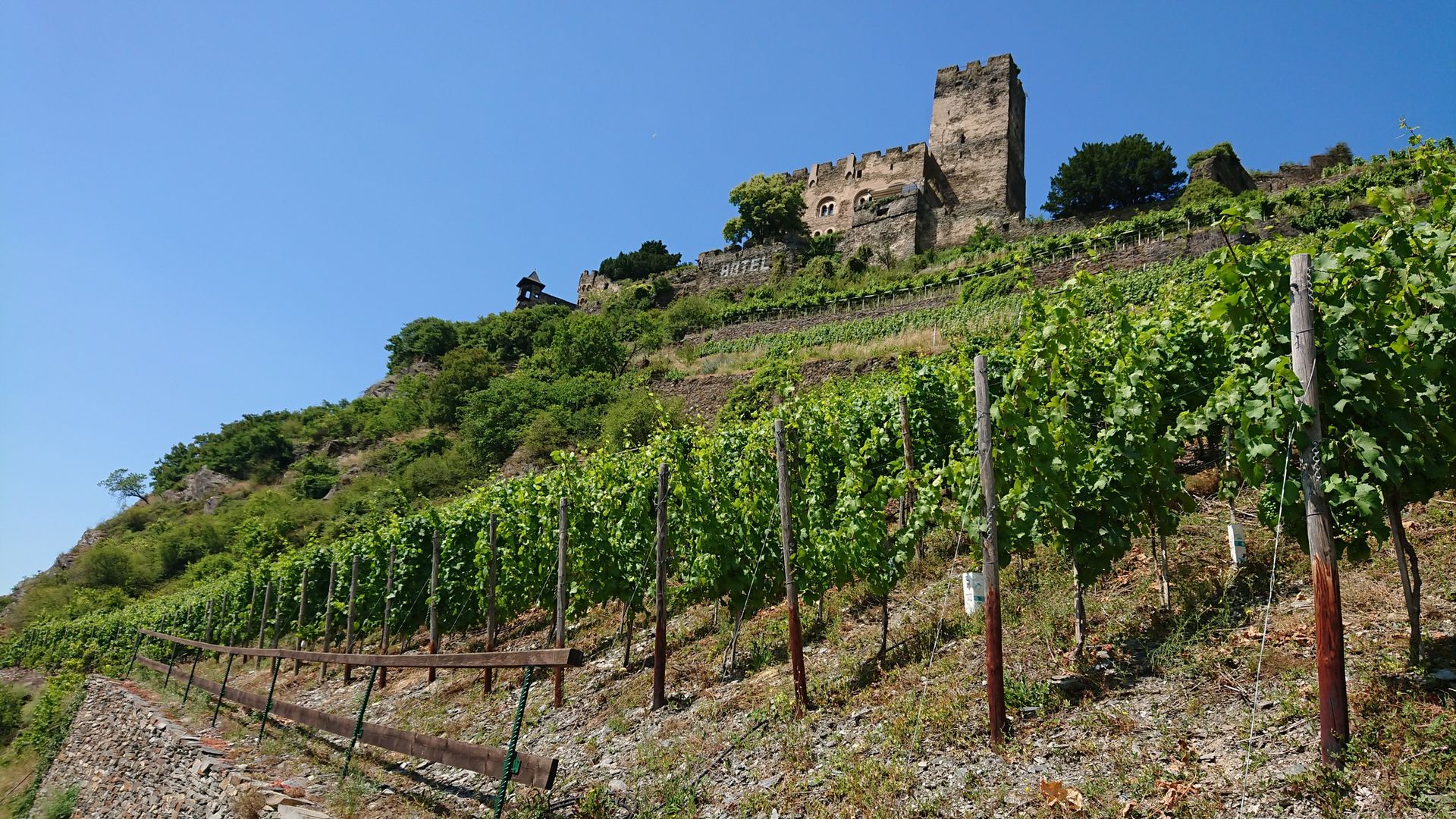 Rheinsteig Trail – The 21 stages along the Rhine | Hiking Collection by ...