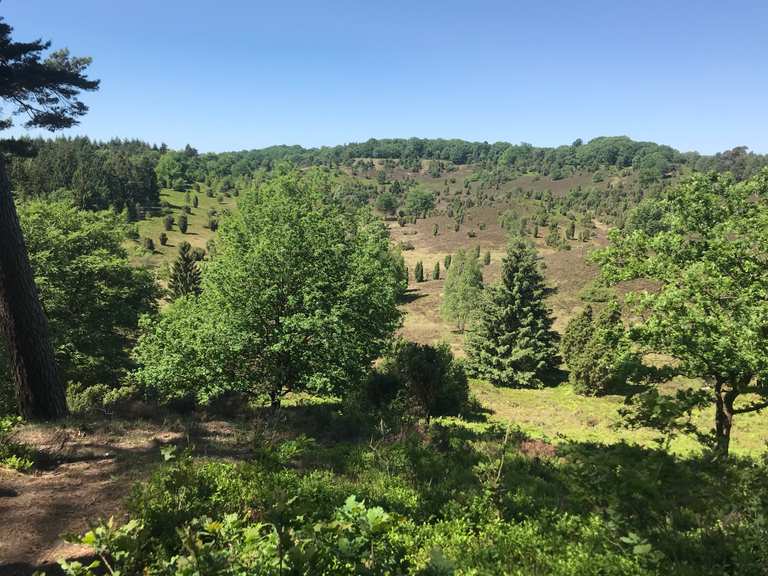 Flirt nachrichten tipps