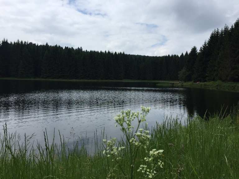 Oberer Hahnebalzer Teich Sentiers et pistes de VTT Komoot